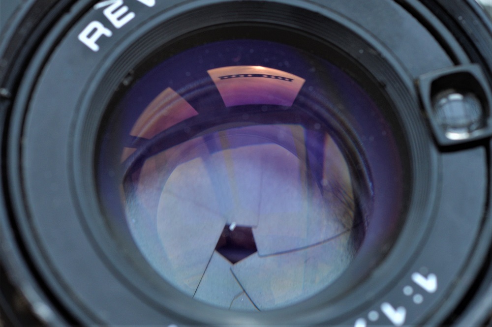 Name:  DSC_2462.jpg
Hits: 936
Gre:  198,3 KB