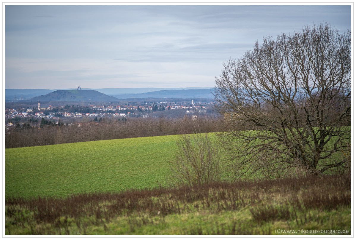Name:  300kb_Rolleinar 105mm f2.8 Wehrden 003.jpg
Hits: 957
Gre:  285,5 KB