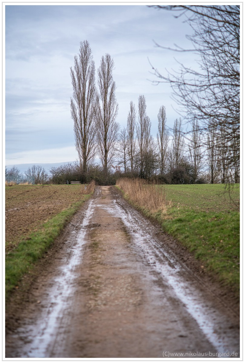 Name:  300kb_Rolleinar 105mm f2.8 Wehrden 010.jpg
Hits: 926
Gre:  291,8 KB