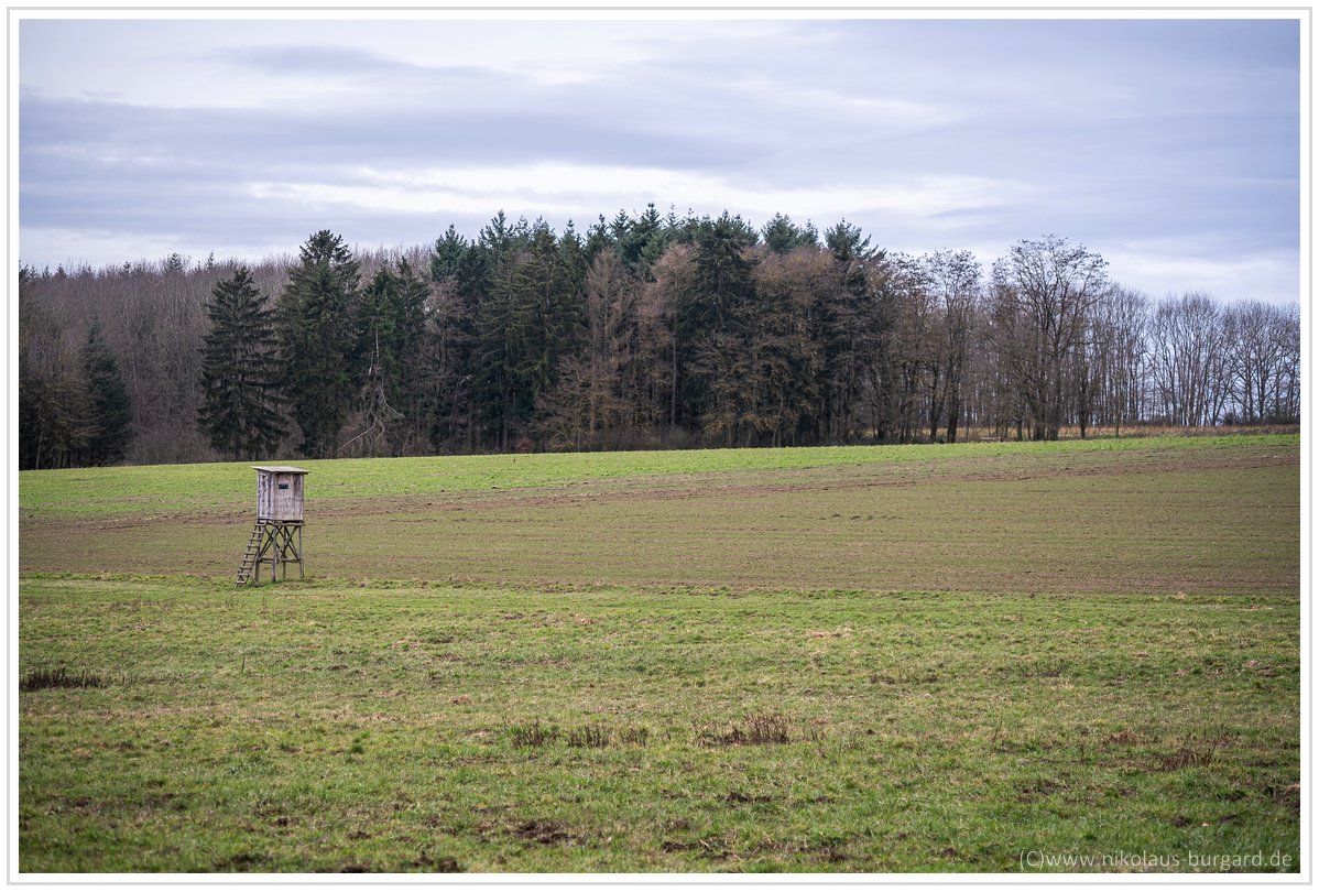 Name:  300kb_Rolleinar 105mm f2.8 Wehrden 009.jpg
Hits: 923
Gre:  287,9 KB