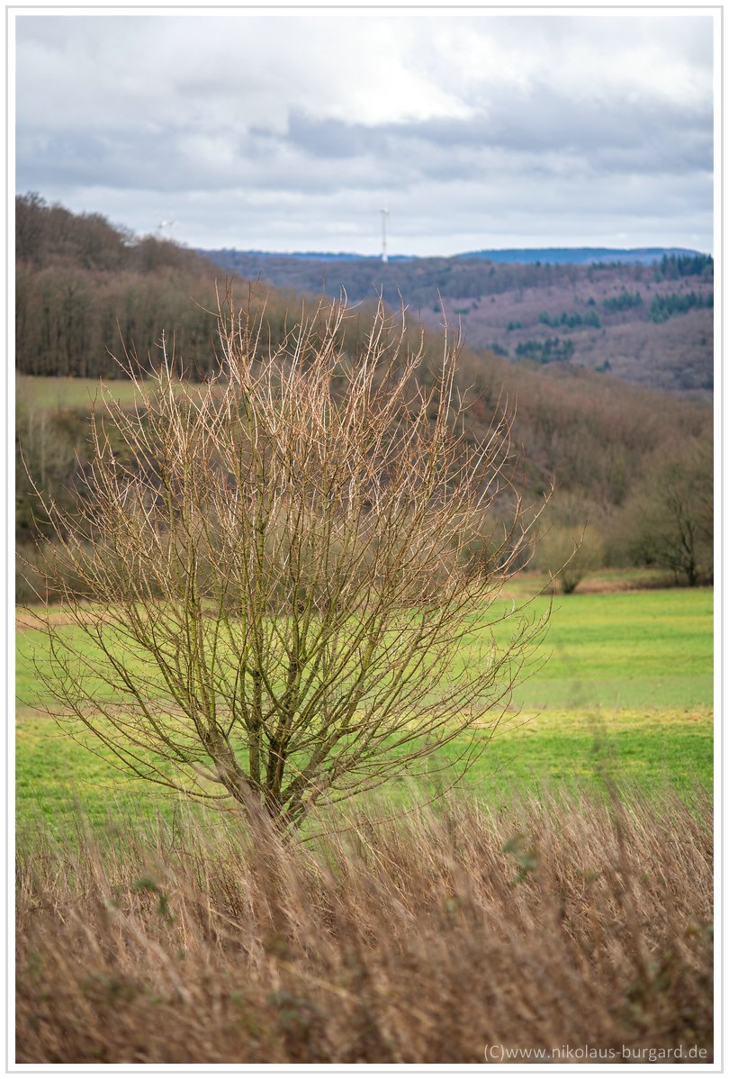 Name:  300kb_2020-01-31 A7M3 + Rolleinar 105mm f2.8 005.jpg
Hits: 911
Gre:  284,0 KB