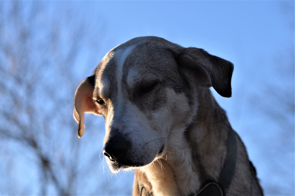 Name:  DSC_4232.jpg
Hits: 590
Gre:  194,2 KB