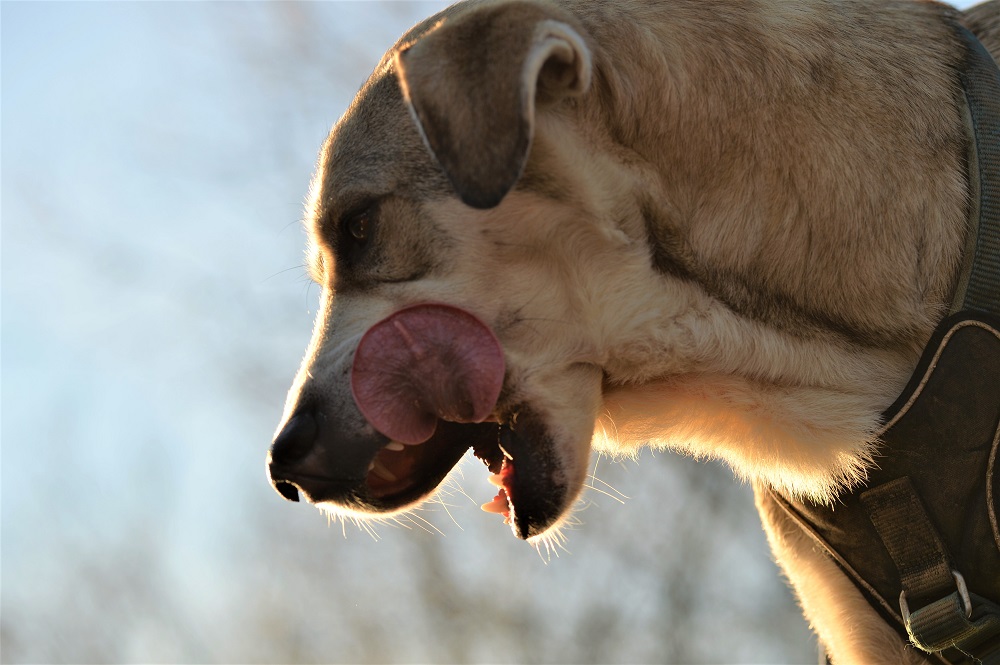 Name:  DSC_4256.jpg
Hits: 603
Gre:  225,3 KB