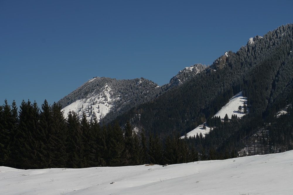 Name:  DSC03940.jpg
Hits: 564
Gre:  225,7 KB