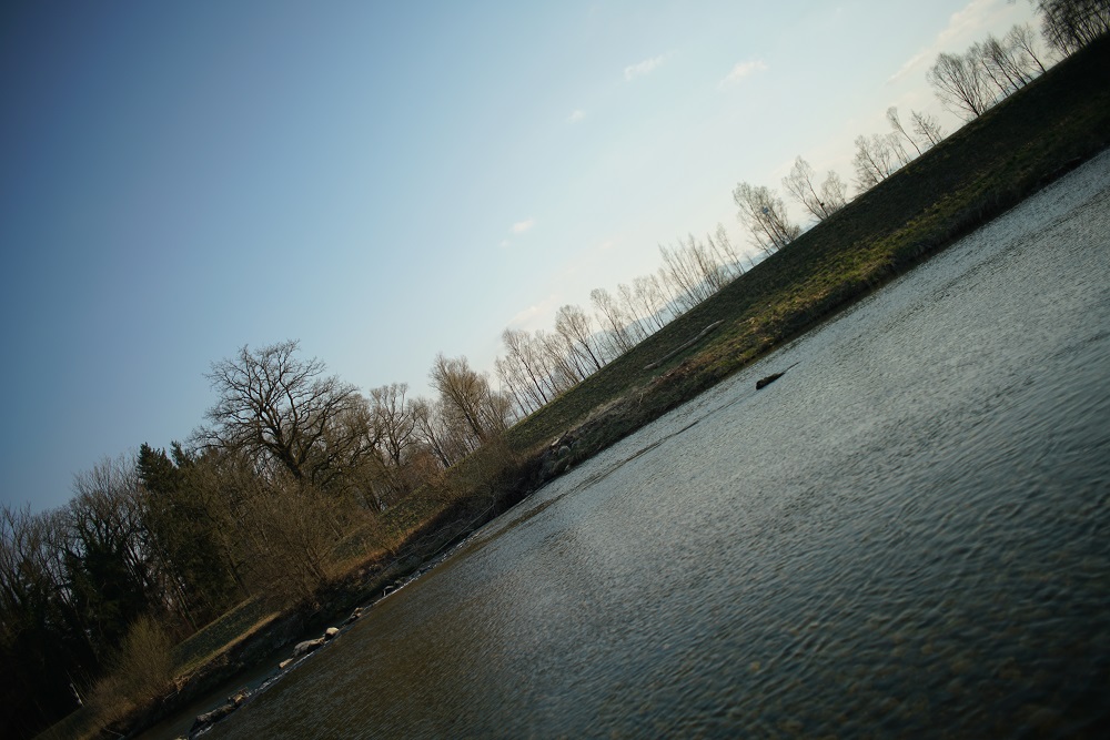 Name:  DSC04517.jpg
Hits: 265
Gre:  237,7 KB