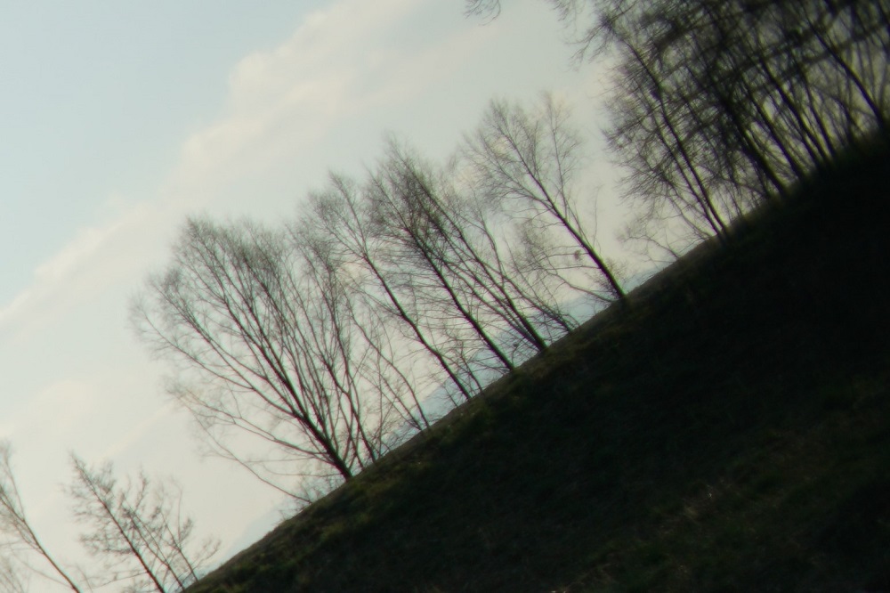 Name:  DSC04517 (2).jpg
Hits: 257
Gre:  214,4 KB
