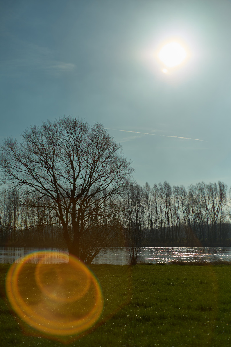 Name:  DSC09959 Auto Rikenon 1.7 50 Weser Gegen Sonne capt. O.kl.jpg
Hits: 514
Gre:  278,9 KB