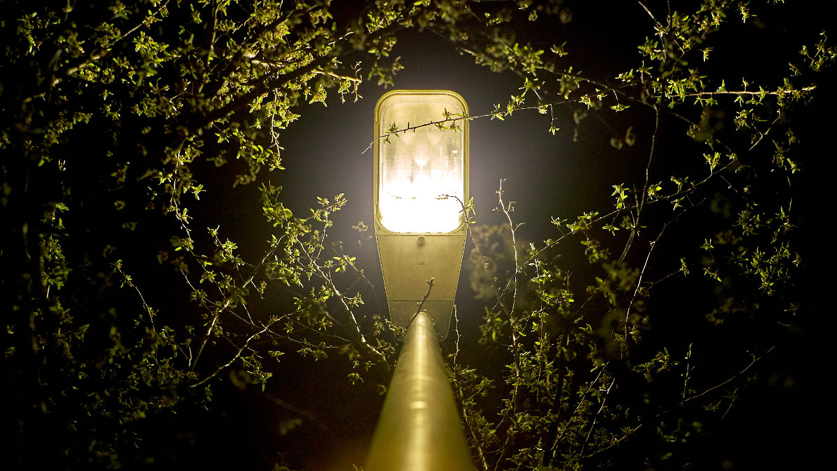 Name:  DSC00038 Rikenon 1.7 50 Strassen Lampe  Birnbaum crop  capt. O.kl.jpg
Hits: 514
Gre:  276,2 KB