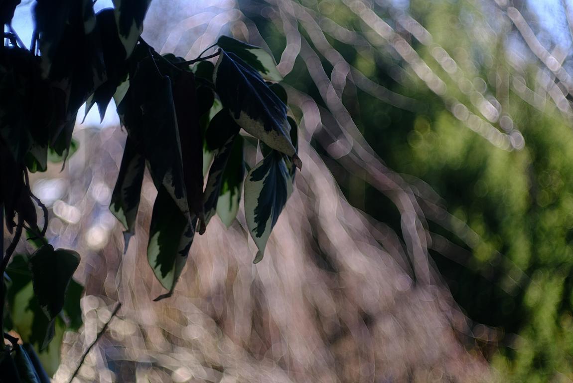 Name:  K1024_DSCF1867_sh.JPG
Hits: 377
Gre:  157,5 KB