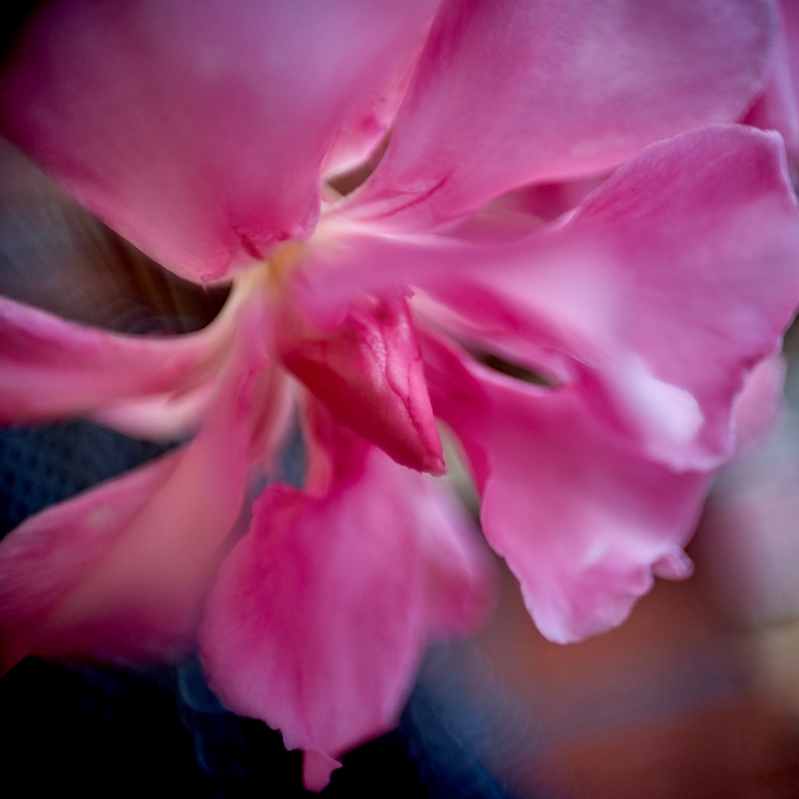 Name:  DSC00073  Rondo super 8 duplikator Oleander kl  Capt. O..jpg
Hits: 325
Gre:  252,1 KB
