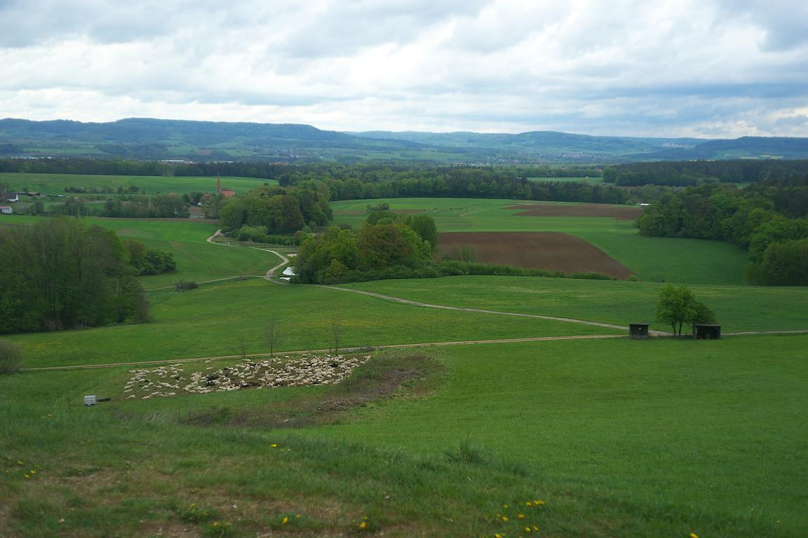 Name:  K1024_DSC01193 (1).JPG
Hits: 558
Gre:  104,4 KB
