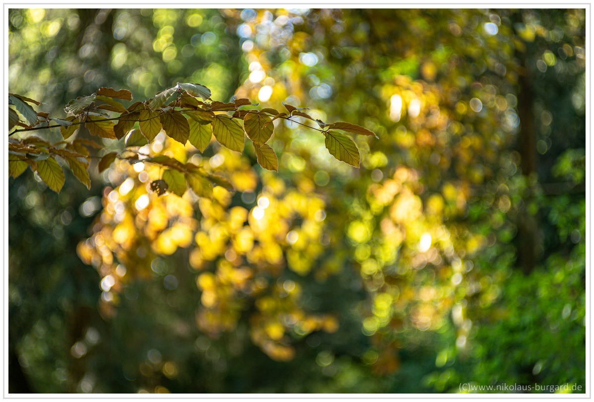 Name:  300kb_DSC00895.jpg
Hits: 559
Gre:  277,4 KB