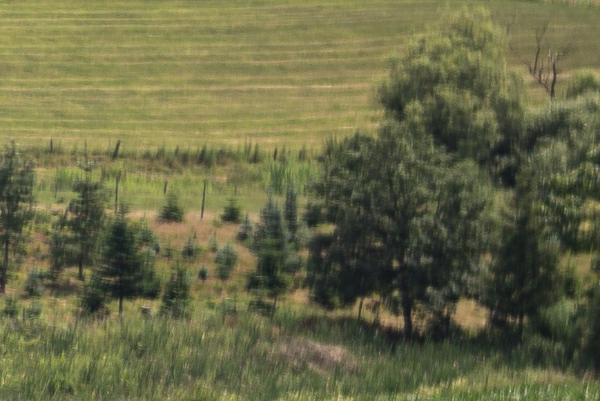 Name:  Crop Landschaft Rand B1.jpg
Hits: 340
Gre:  190,6 KB