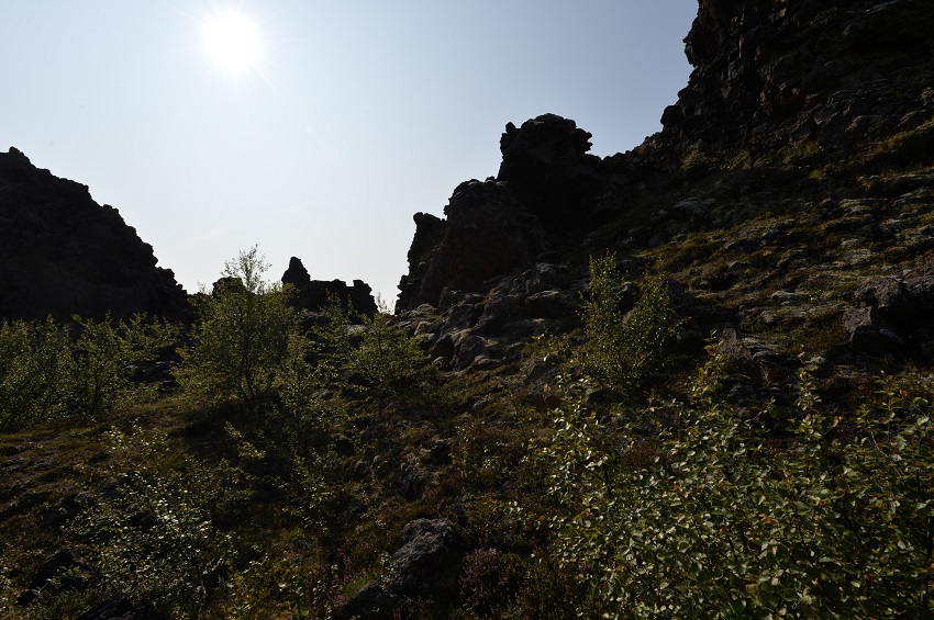 Name:  DSC_1982.jpg
Hits: 718
Gre:  256,3 KB