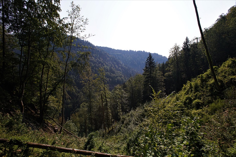 Name:  DSC04482.jpg
Hits: 490
Gre:  294,2 KB