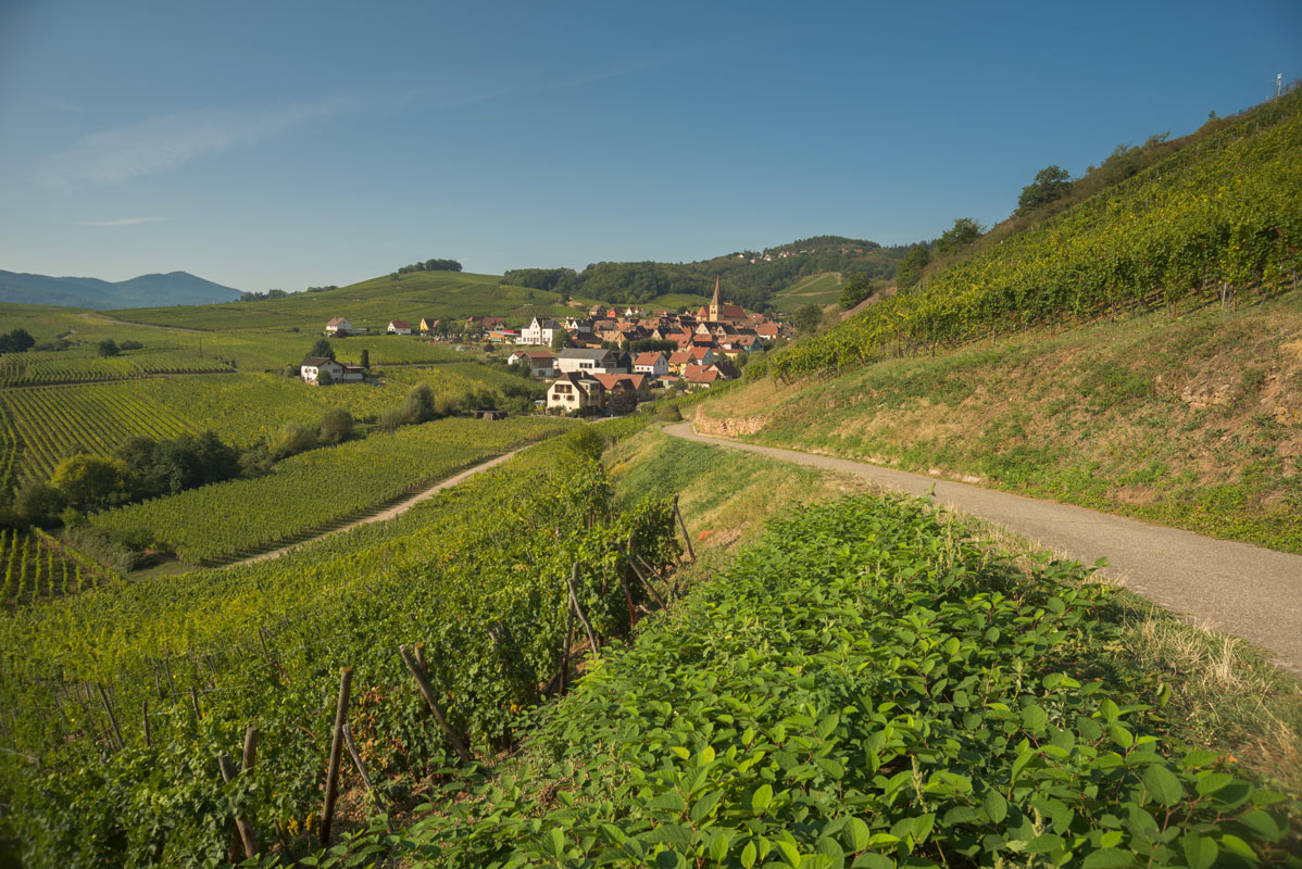 Name:  courbure-grand.jpg
Hits: 364
Gre:  284,6 KB