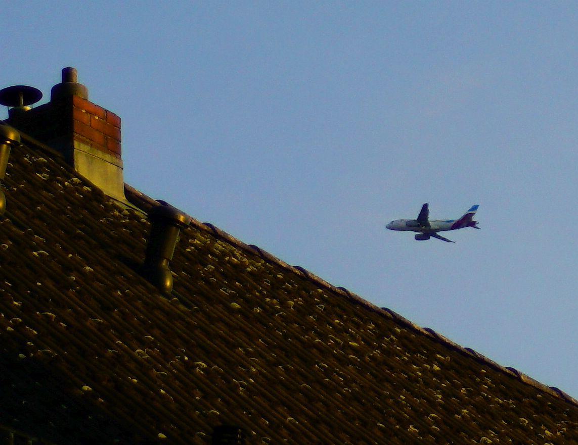 Name:  _DSC5698crop.jpg
Hits: 647
Gre:  148,1 KB