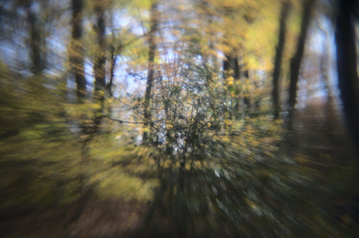 Name:  DSC08144_01.jpg
Hits: 414
Gre:  251,1 KB