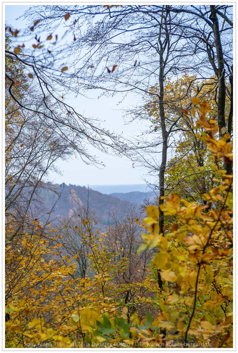 Name:  300kb_DSC05652.jpg
Hits: 206
Gre:  289,5 KB