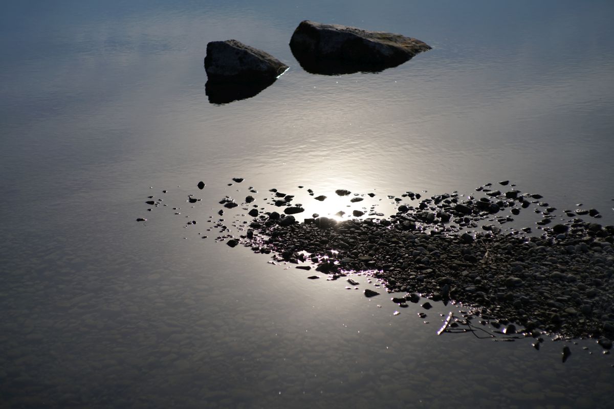 Name:  DSC04847.JPG
Hits: 546
Gre:  150,1 KB