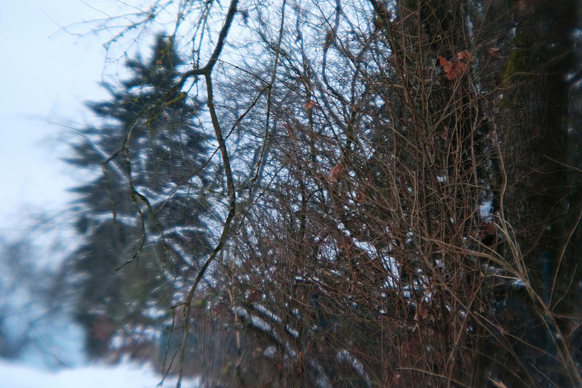 Name:  K1024_DSCF9013_sh.JPG
Hits: 1403
Gre:  174,6 KB