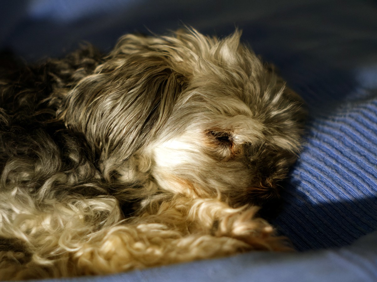 Name:  DSC07548_DxO.jpg
Hits: 315
Gre:  247,3 KB