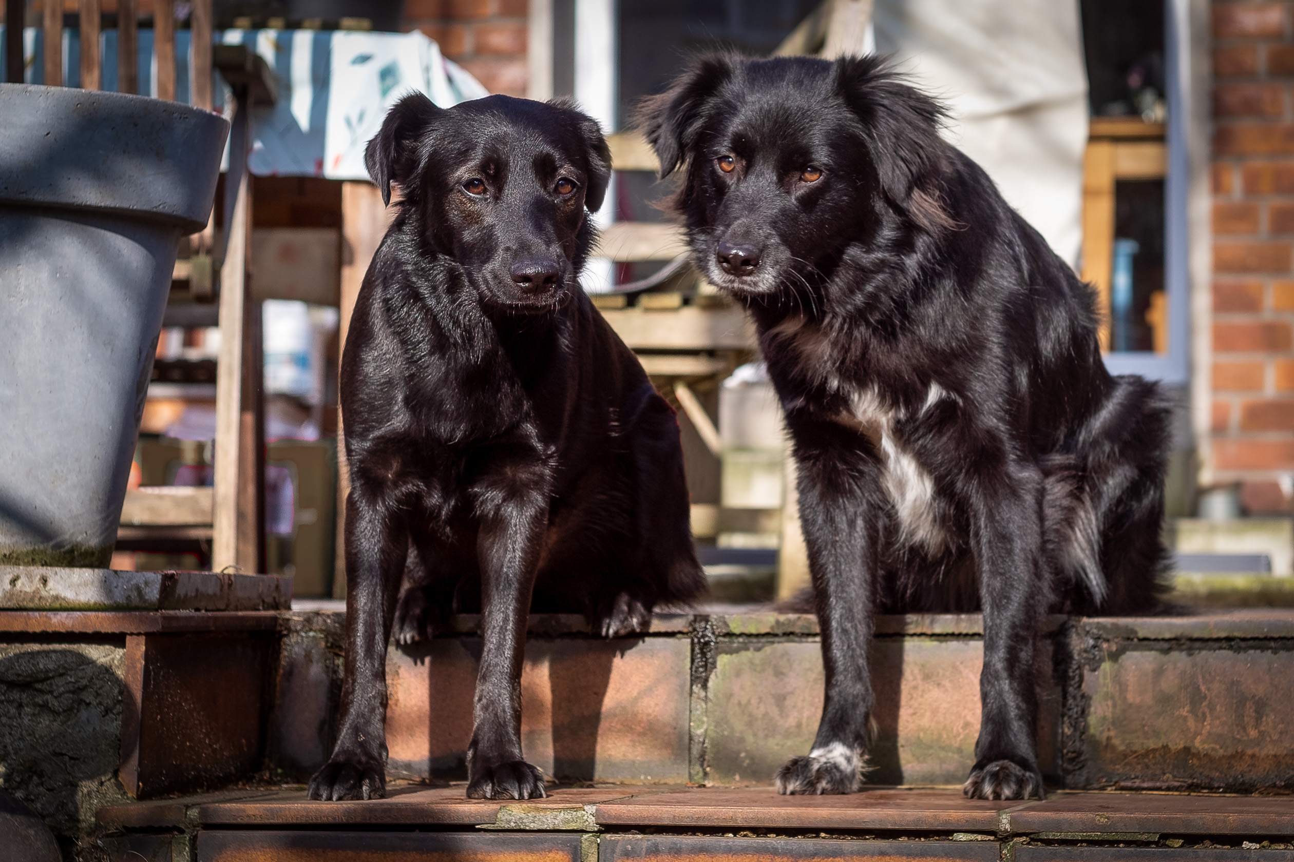 Name:  xenon_50mm_f18-039.jpg
Hits: 566
Gre:  973,0 KB