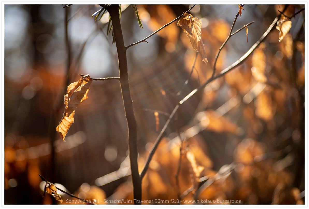Name:  300kb_DSC08367.jpg
Hits: 388
Gre:  288,0 KB