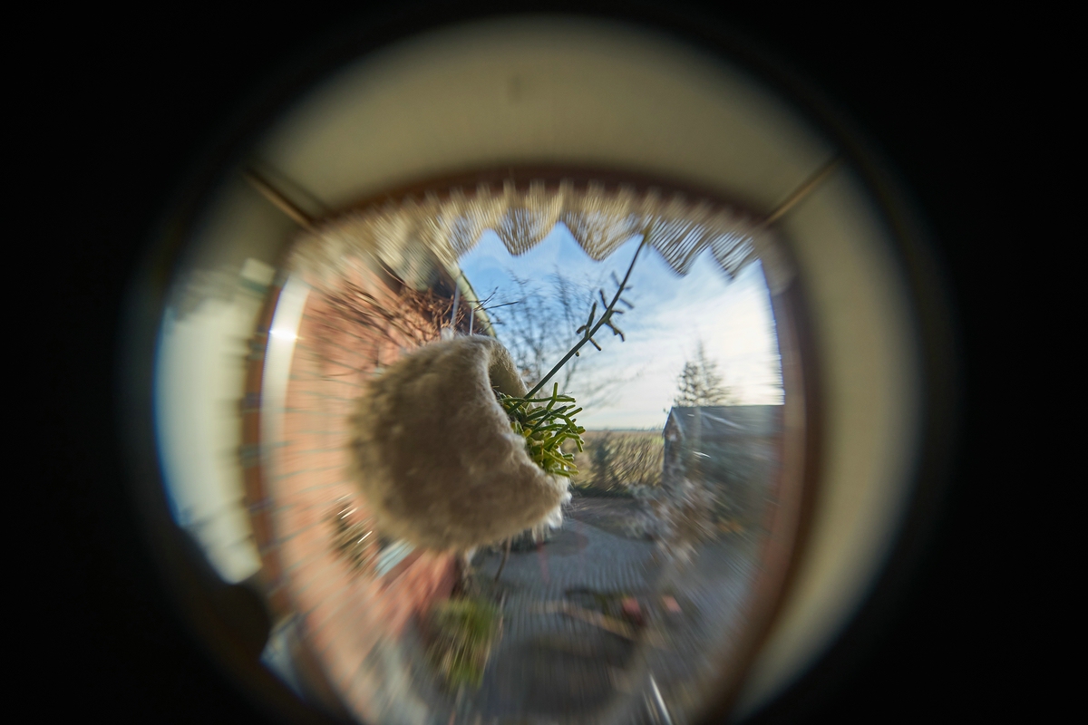 Name:  DSC08470 Beamer Fisheye ohne Plexilinse  .cokb 500.jpg
Hits: 509
Gre:  359,9 KB