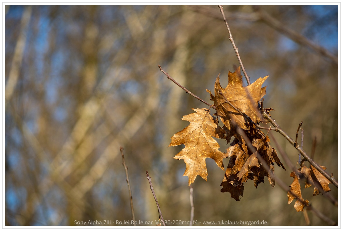 Name:  300kb_DSC08585.jpg
Hits: 447
Gre:  264,3 KB