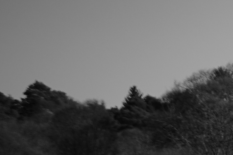 Name:  DSC00674__2.4_olCrop.JPG
Hits: 555
Gre:  71,0 KB