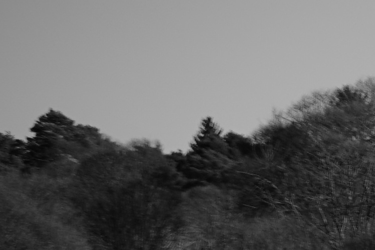 Name:  DSC00675_4_olCrop.JPG
Hits: 535
Gre:  83,5 KB