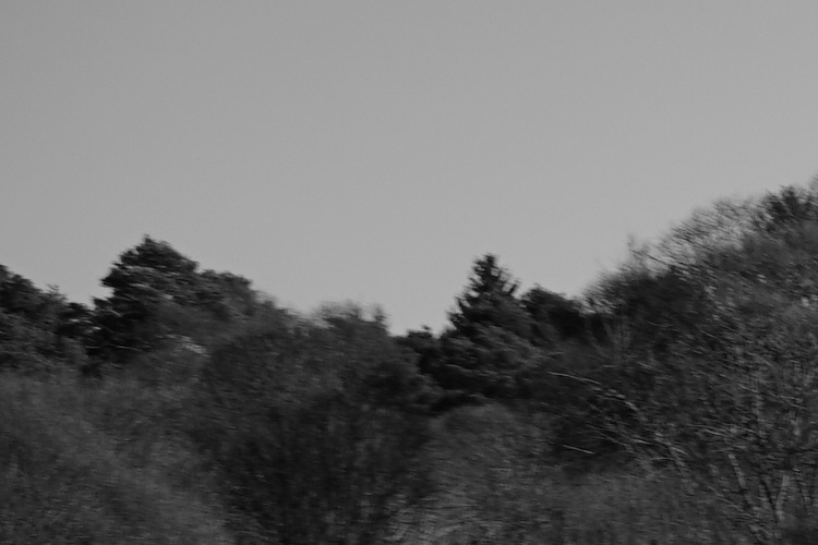 Name:  DSC00676_5.6_olCrop.JPG
Hits: 550
Gre:  92,7 KB