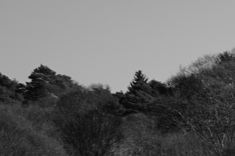 Name:  DSC00677_8_olCrop.JPG
Hits: 543
Gre:  95,9 KB
