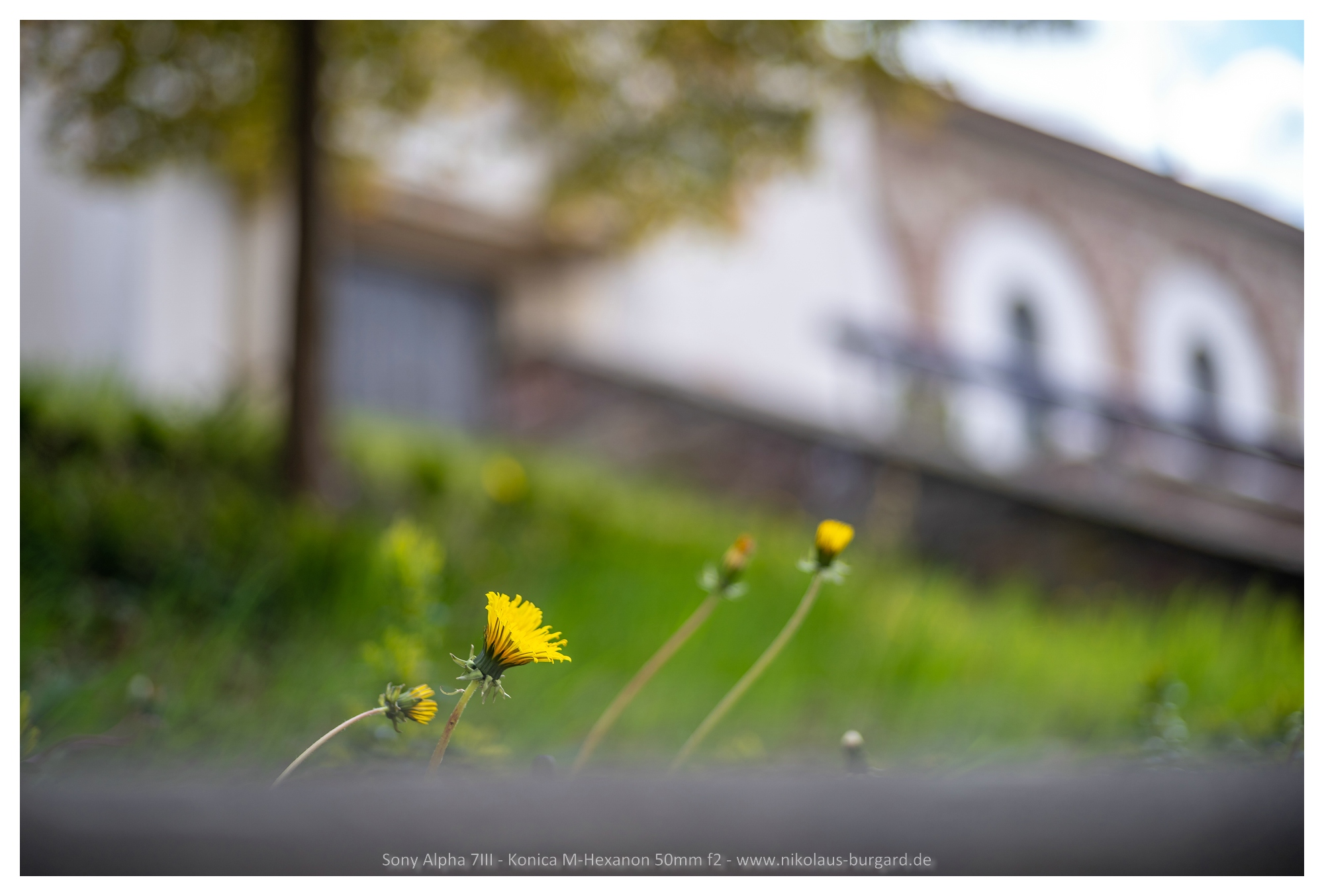 Name:  800kb_DSC00987-2.jpg
Hits: 1103
Gre:  647,7 KB