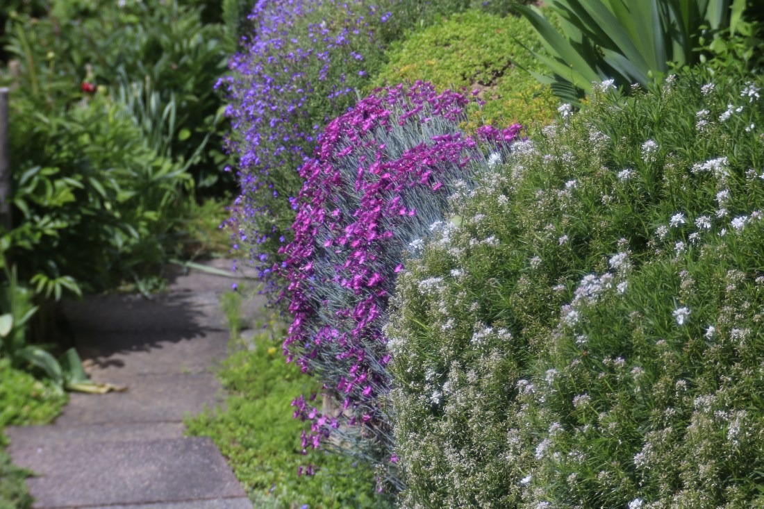 Name:  _MG_3122.jpg
Hits: 303
Größe:  286,2 KB