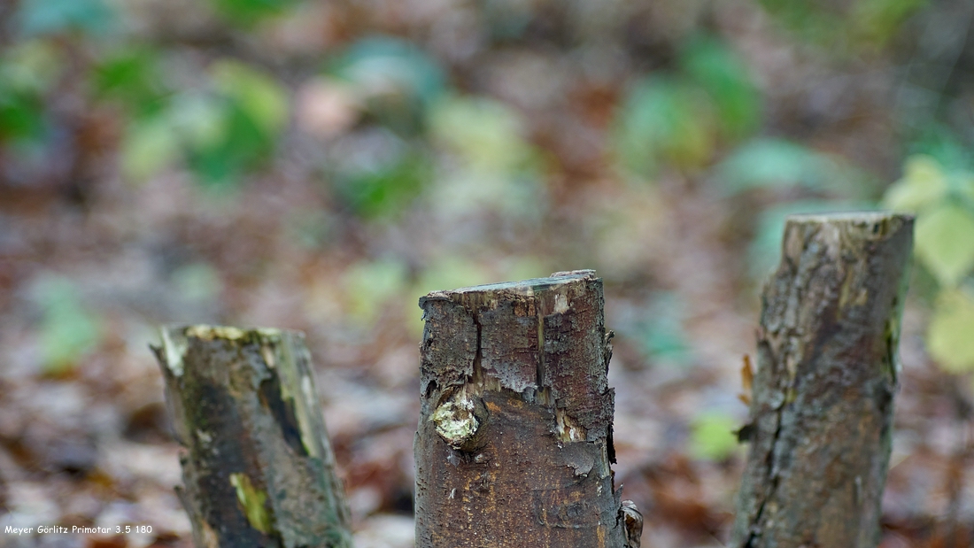 Name:  DSC02087 Meyer Grlitz Primotar 3.5 180 Bokeh Kiesteich B482  klein.jpg
Hits: 290
Gre:  360,5 KB