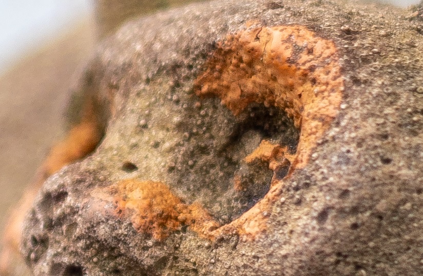 Name:  Crop Auge 35mm.jpg
Hits: 376
Gre:  216,6 KB