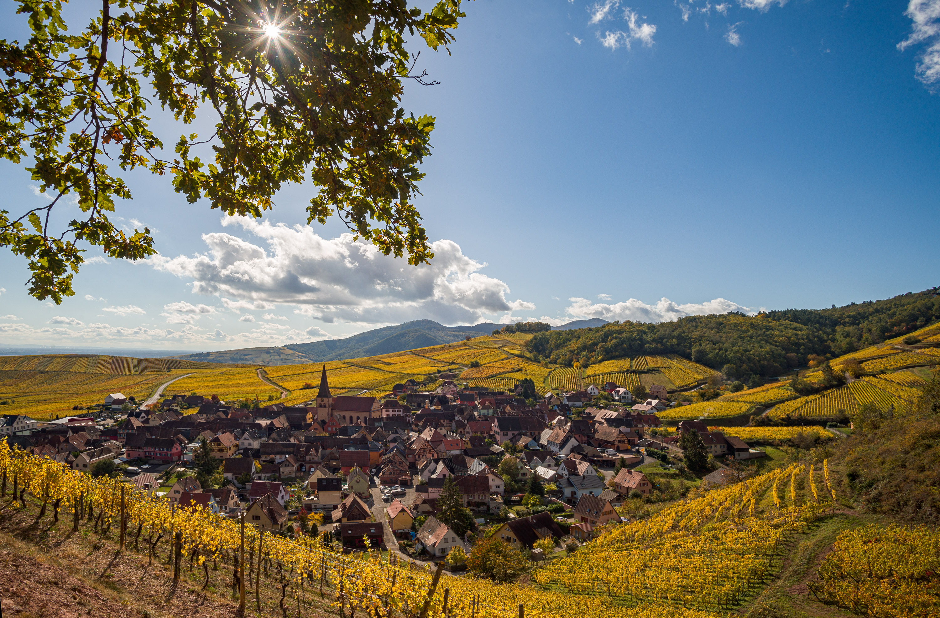 Name:  Alsace-1.jpg
Hits: 177
Gre:  2,39 MB
