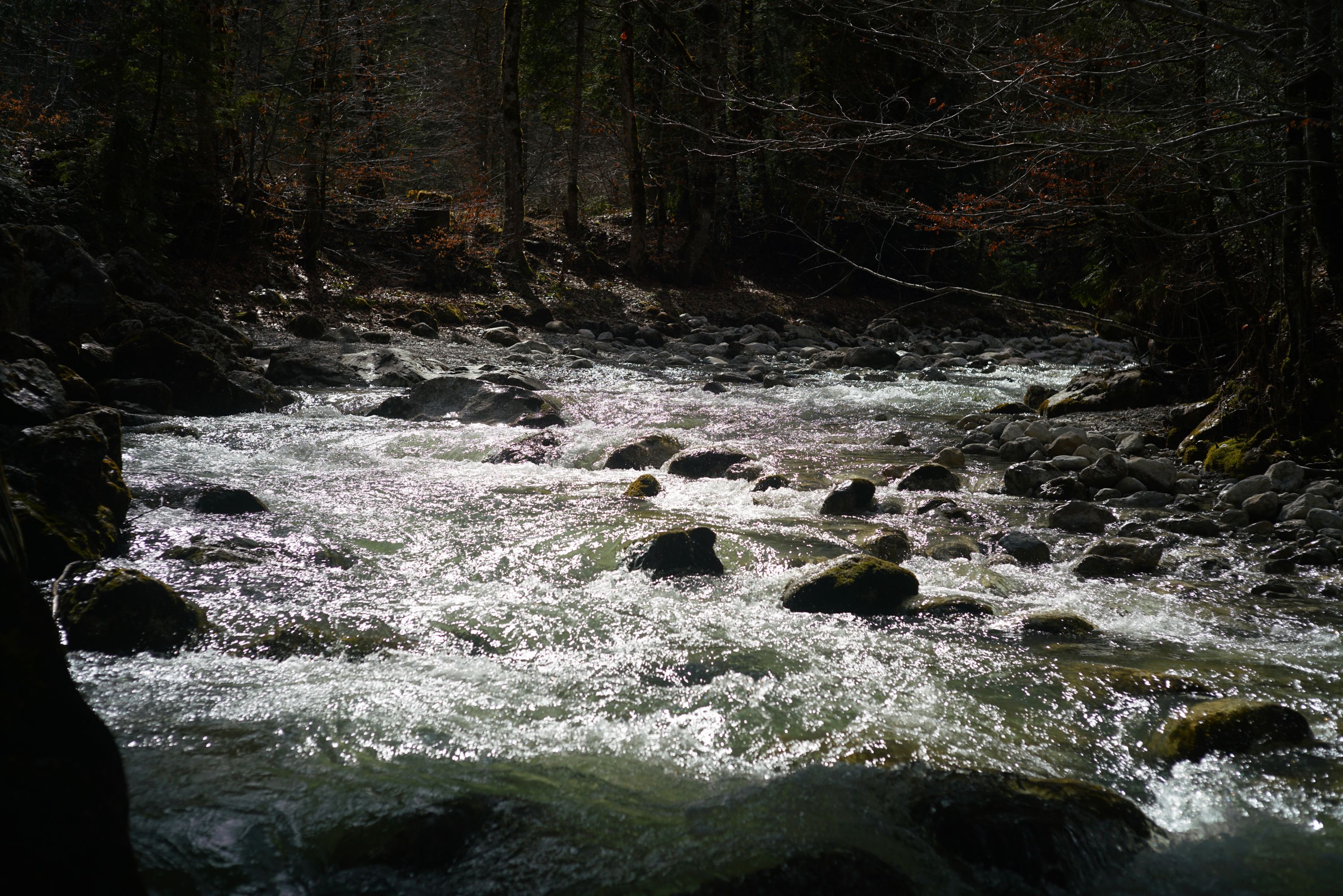 Name:  DSC09526.jpg
Hits: 136
Gre:  1,20 MB
