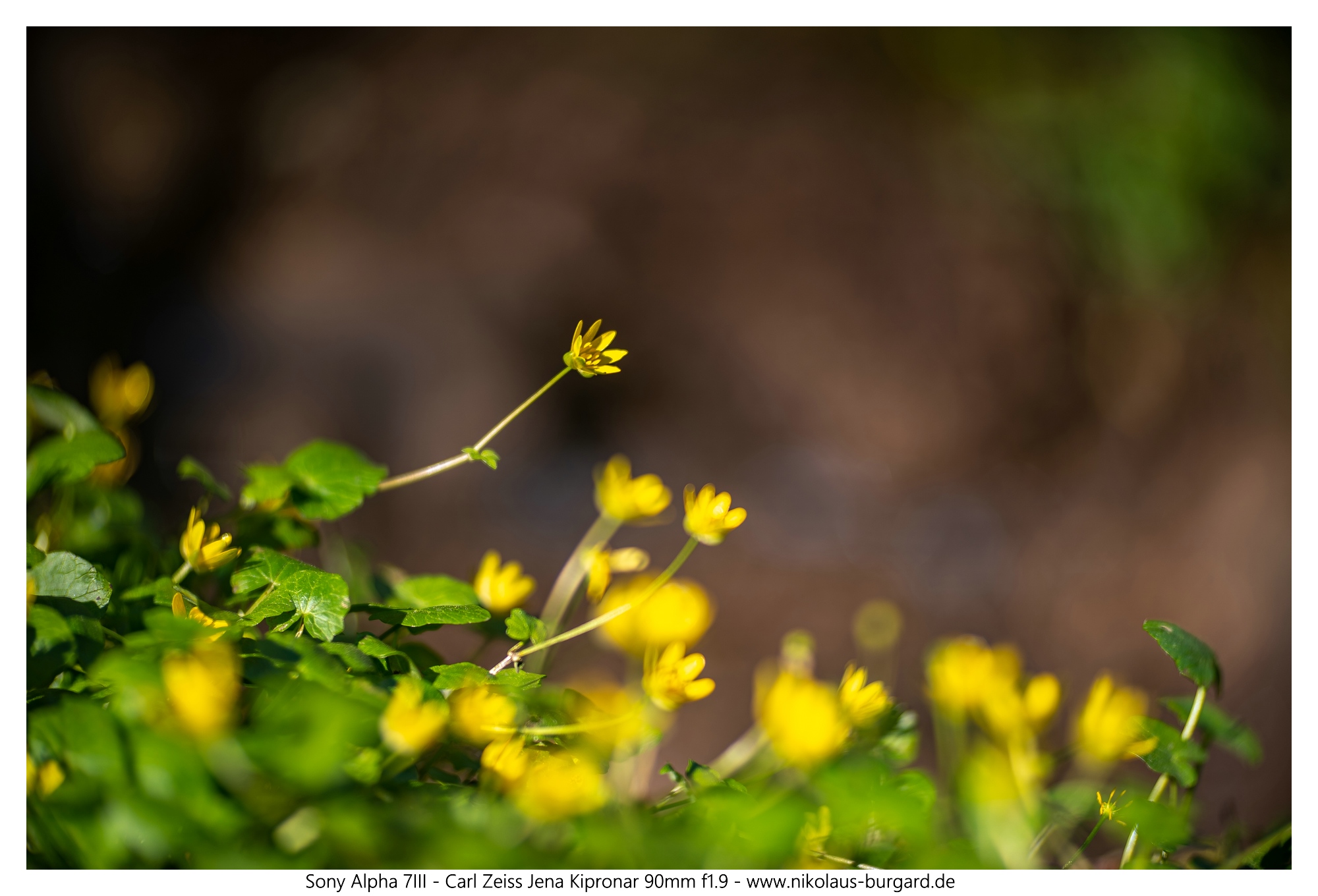 Name:  600kb_A7306352-HDR.jpg
Hits: 351
Gre:  543,0 KB
