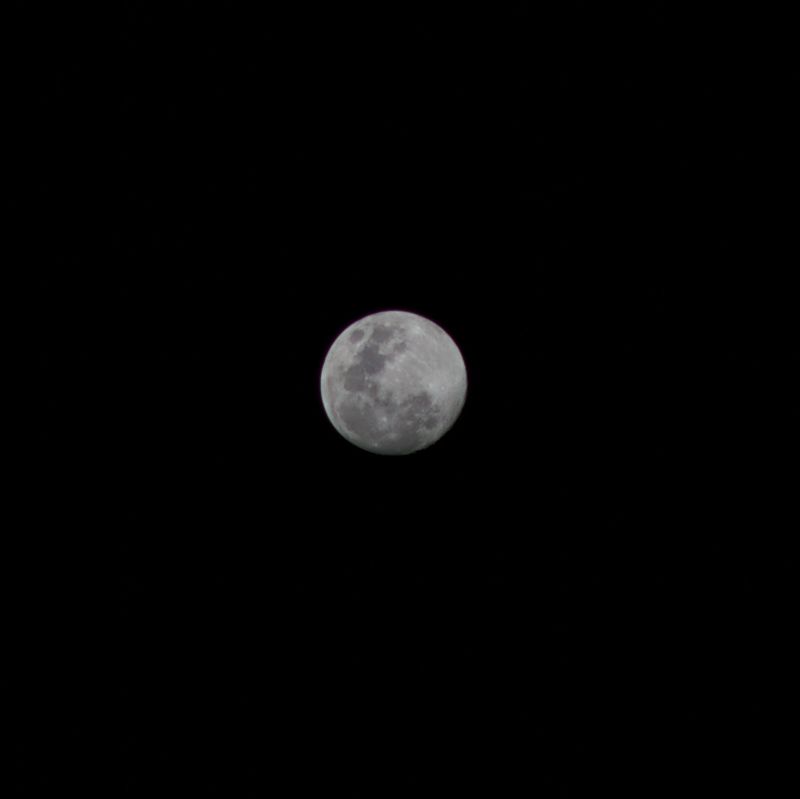 Name:  NIkkor105_mond1..jpg
Hits: 1599
Gre:  14,1 KB
