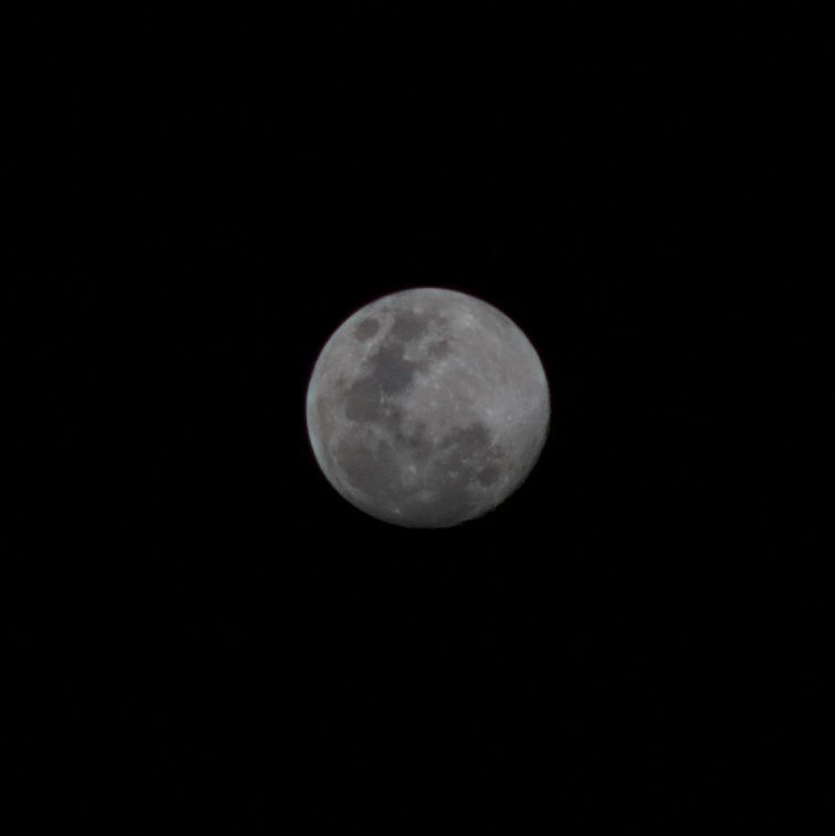 Name:  NIkkor105_mond2..jpg
Hits: 1600
Gre:  15,1 KB