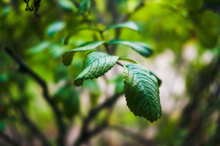 Name:  Bokeh-Test-..jpg
Hits: 354
Gre:  23,1 KB