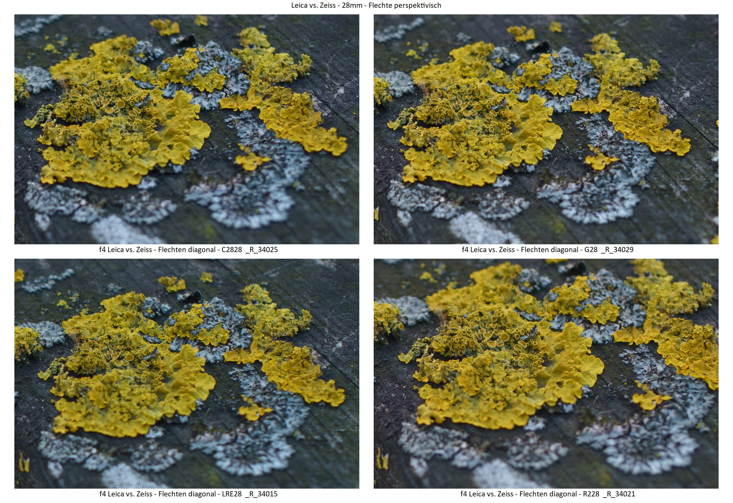 Name:  f4 Leica vs. Zeiss - 28mm - Flechte perspektivisch Center.jpg
Hits: 172
Gre:  758,2 KB