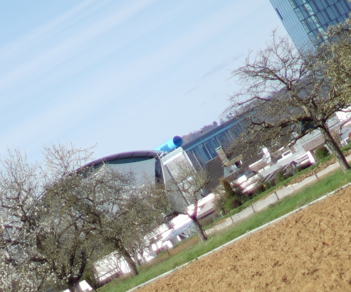 Name:  DSC00167_Min 50 o_AM.jpg
Hits: 366
Gre:  586,7 KB