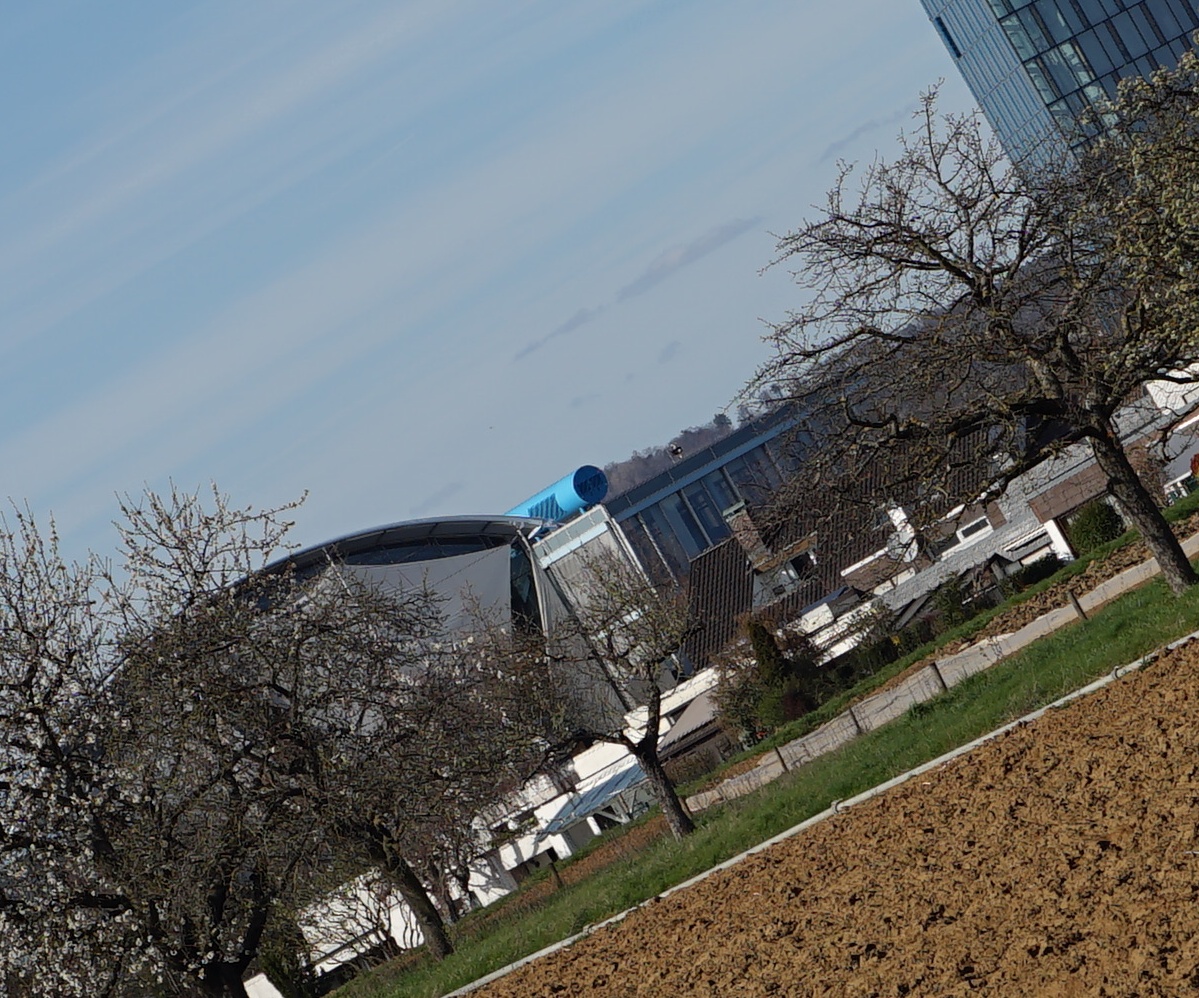 Name:  DSC00175_Syo Bl 8_AM.jpg
Hits: 374
Gre:  562,5 KB