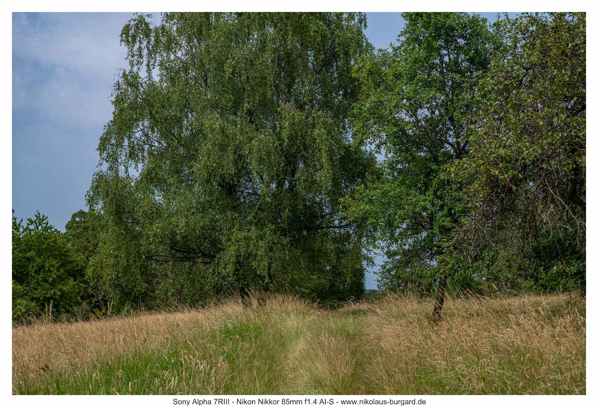 Name:  500kb_7R308570.jpg
Hits: 86
Gre:  498,9 KB