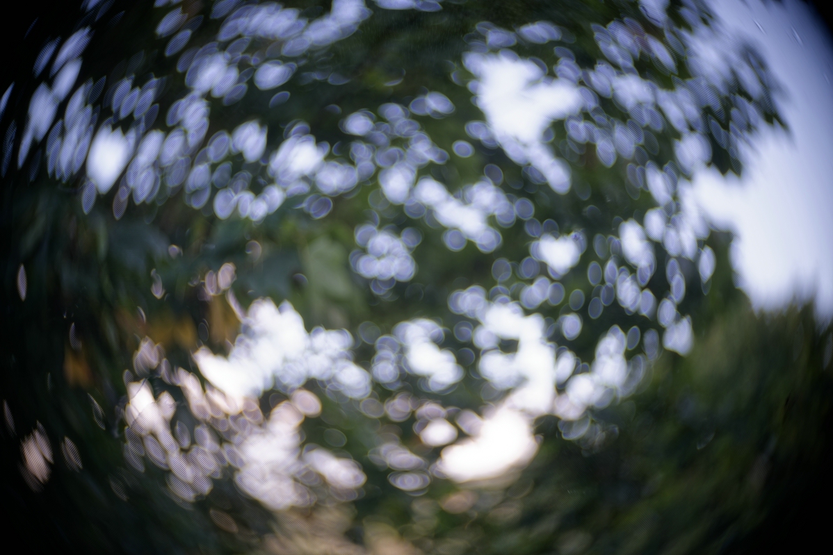 Name:  comp_Kipronar 70mm F1.4_DxO.jpg
Hits: 272
Gre:  541,3 KB