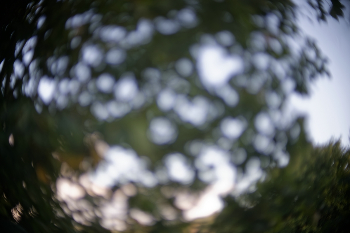 Name:  comp_Meostigmat 70mm F1.4_DxO.jpg
Hits: 278
Gre:  365,7 KB